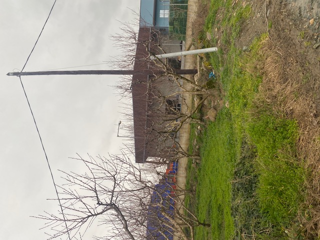 photo1
