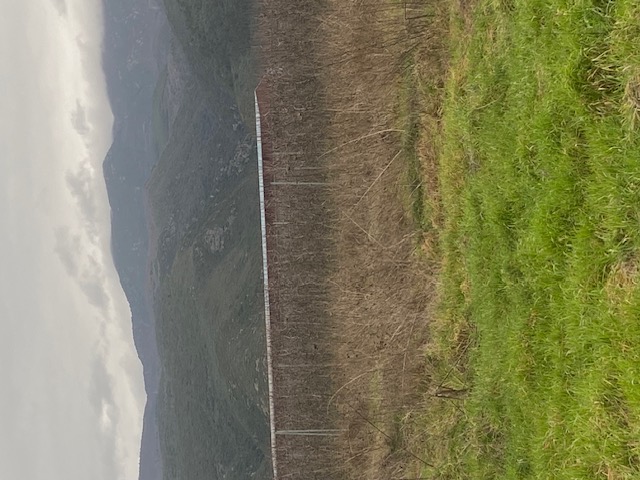 photo1