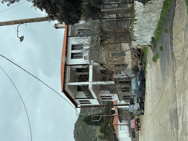 photo1