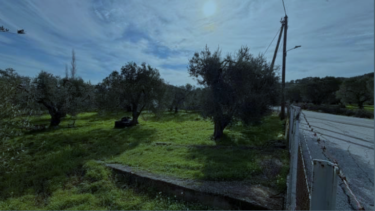 Αγροτεμάχιο  σε πλειστηριασμό Δήμος Λέσβου