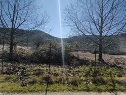 photo1