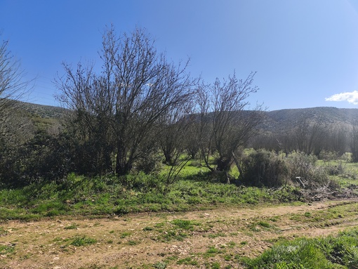 photo1