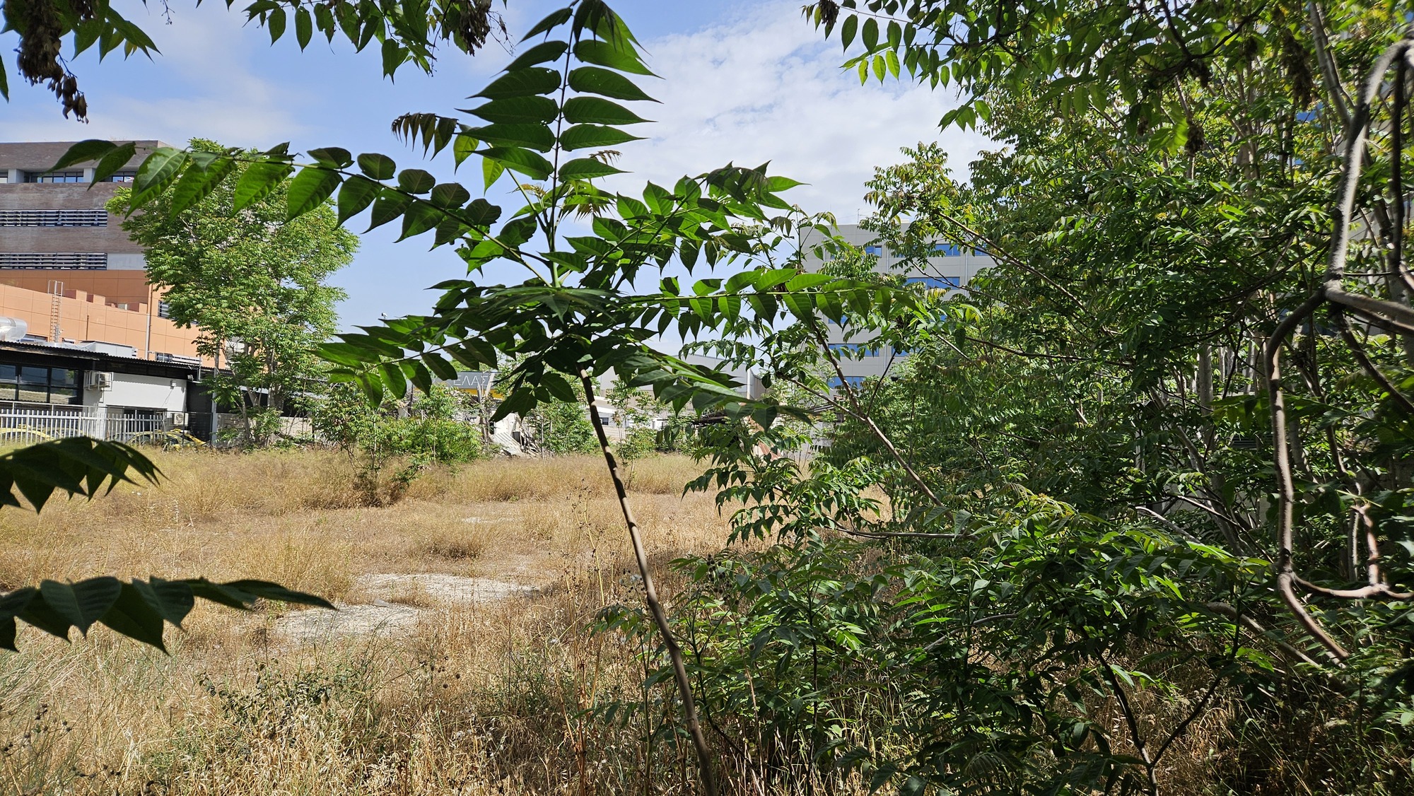 Οικόπεδο  σε πλειστηριασμό Δήμος Αθηναίων