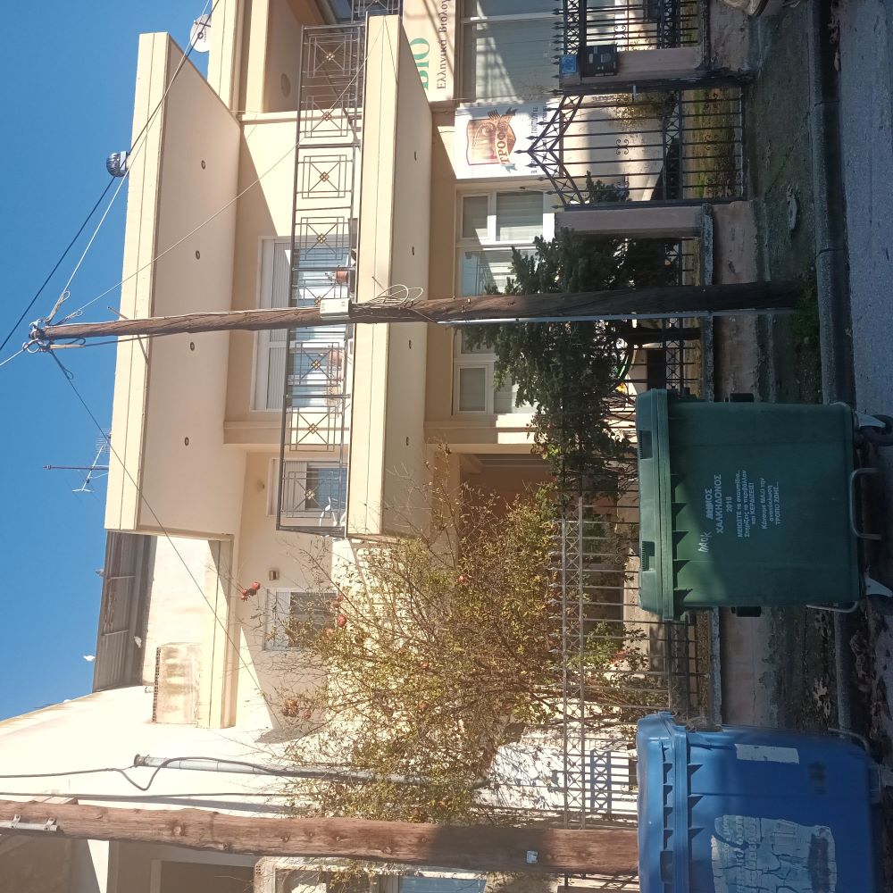 photo1