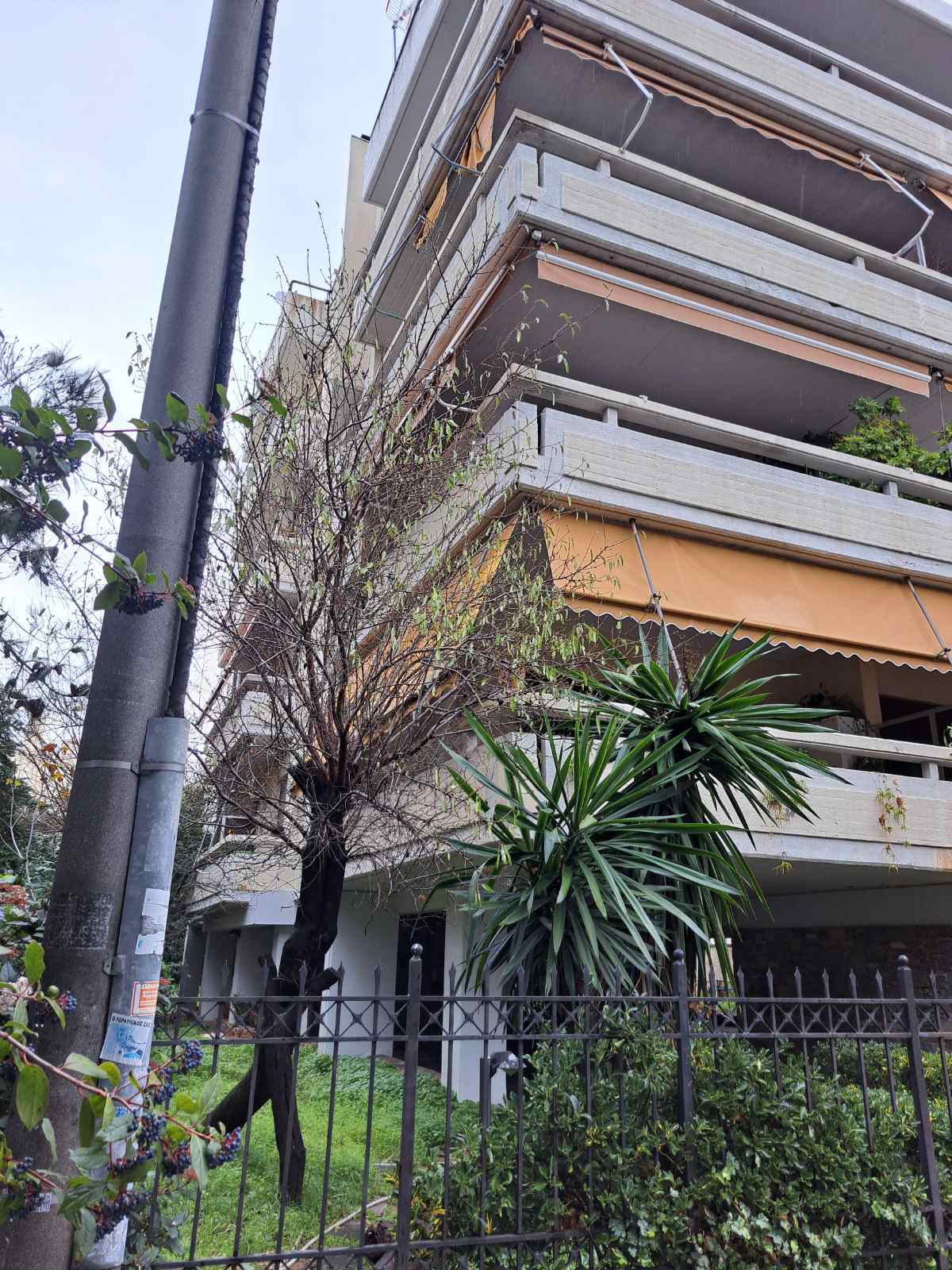Κατοικία  σε πλειστηριασμό Δήμος Λυκόβρυσης - Πεύκης