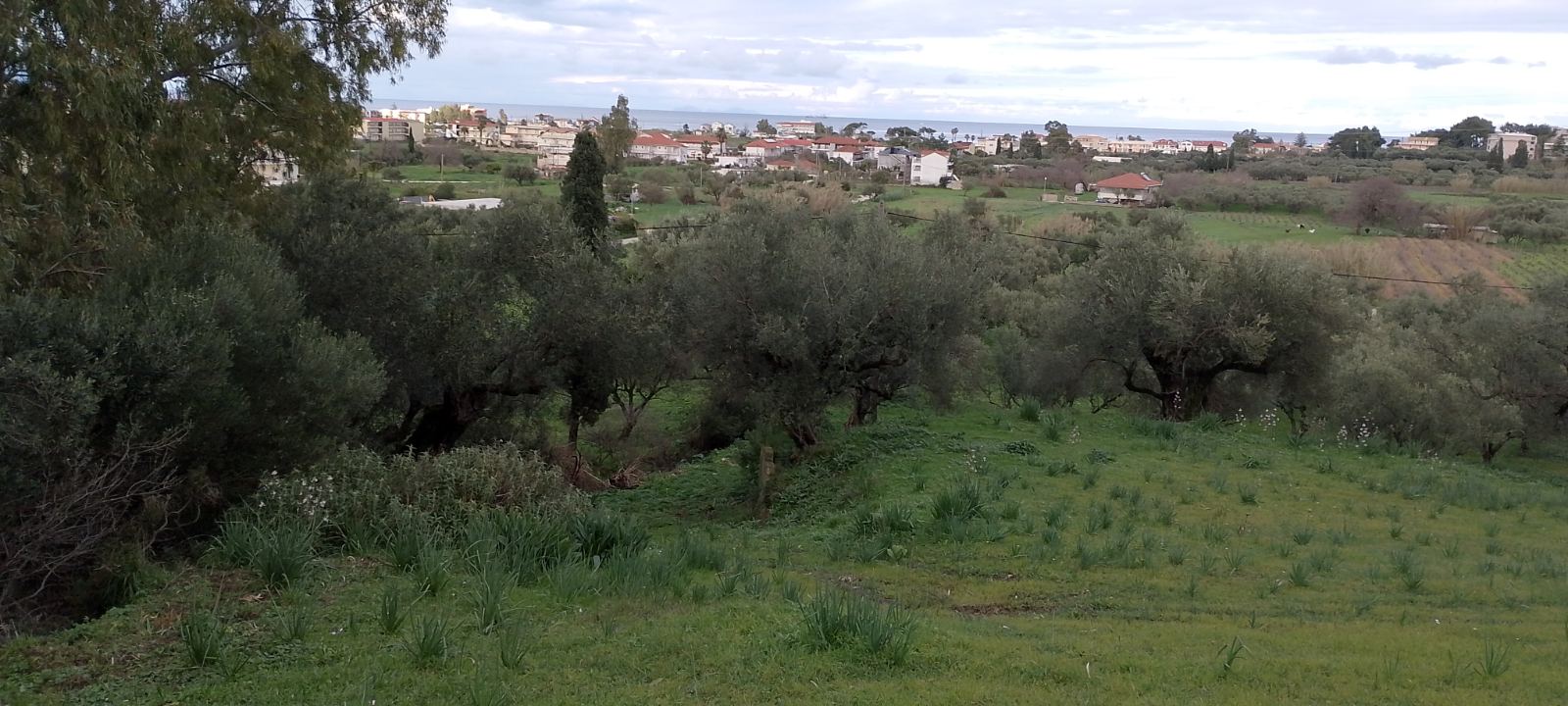 photo0