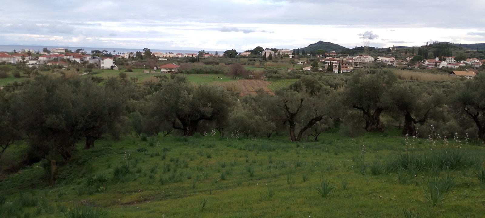 photo1