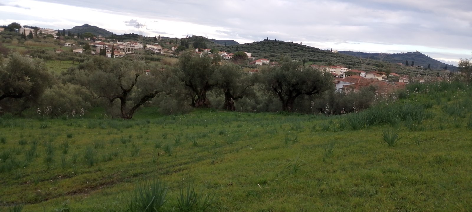 photo2