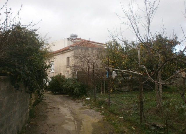 photo0
