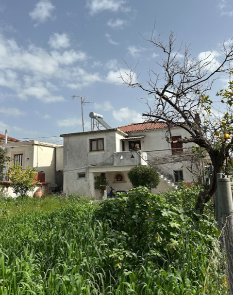 photo0