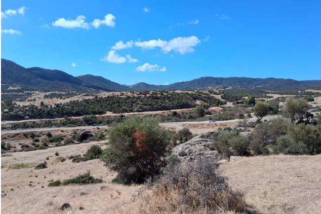Οικόπεδο  σε πλειστηριασμό Δήμος Σιθωνίας
