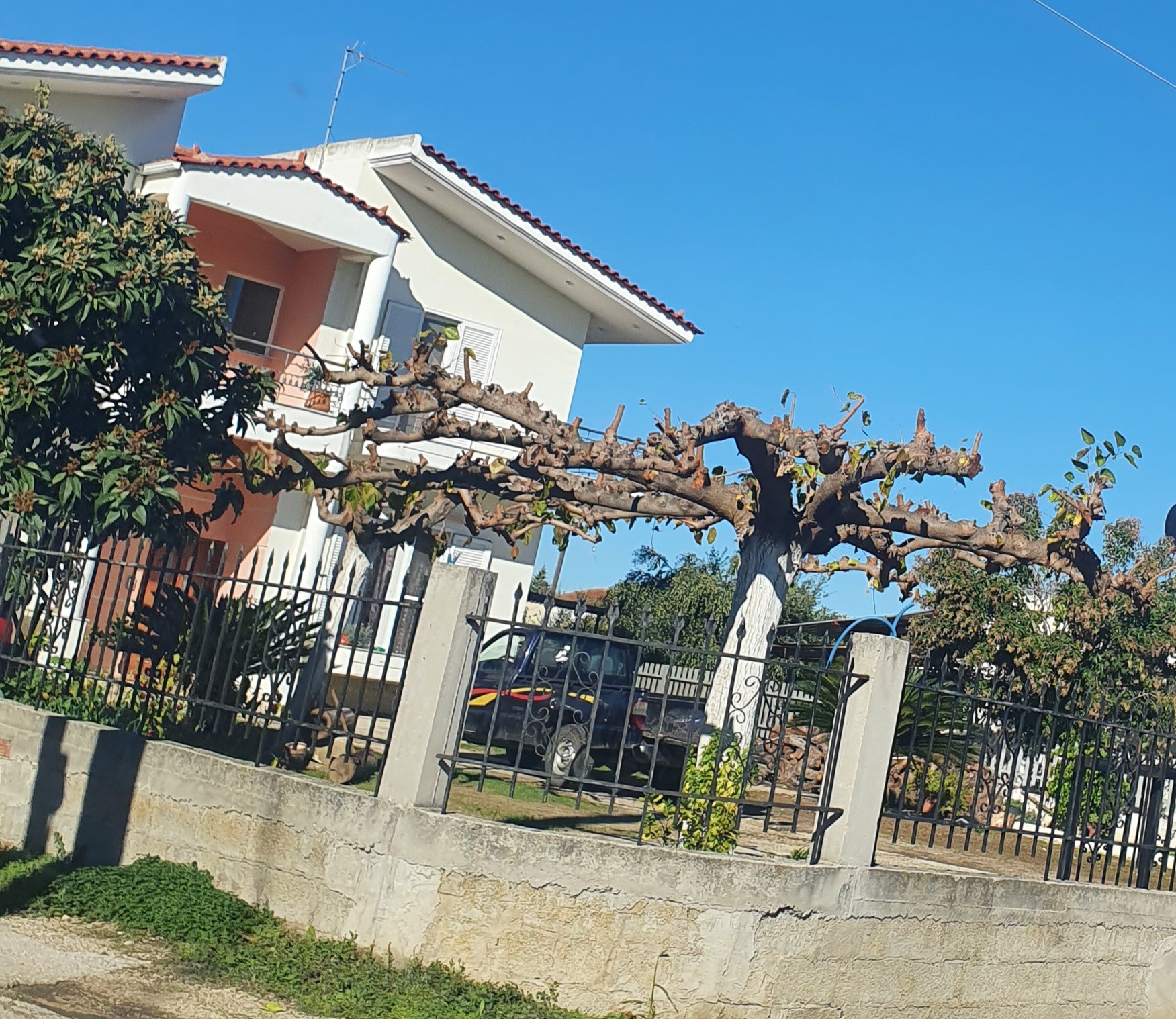 Κατοικία  σε πλειστηριασμό Δήμος Δυτικής Αχαΐας