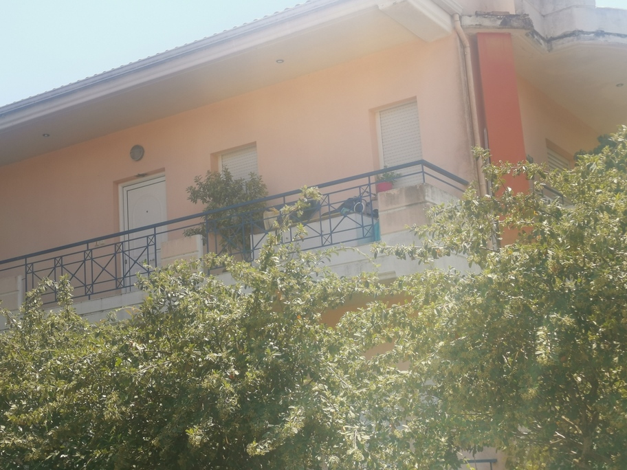 photo1