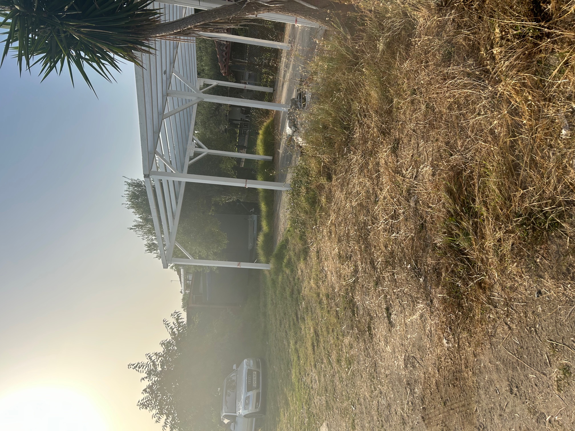 photo0