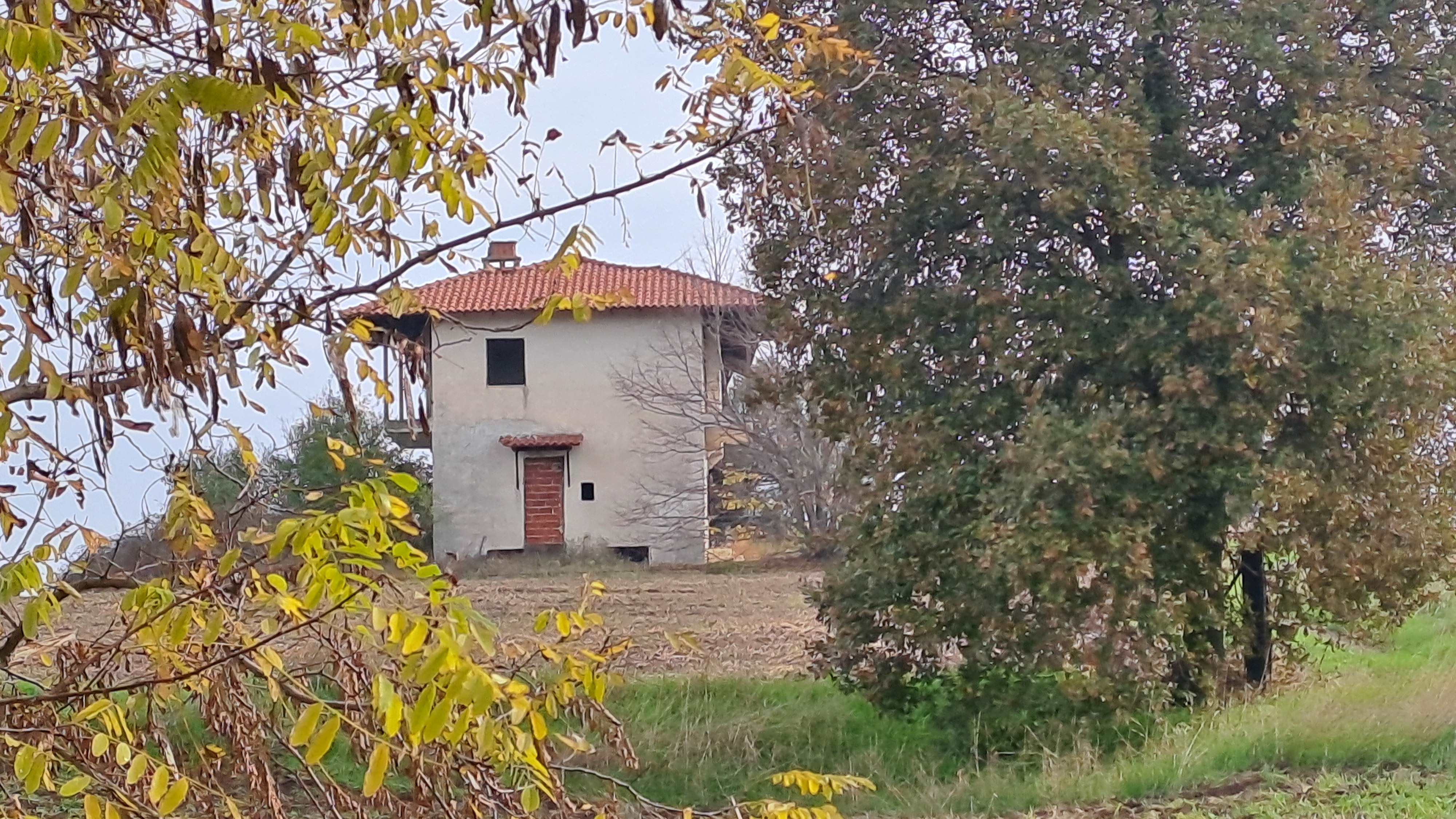 photo0