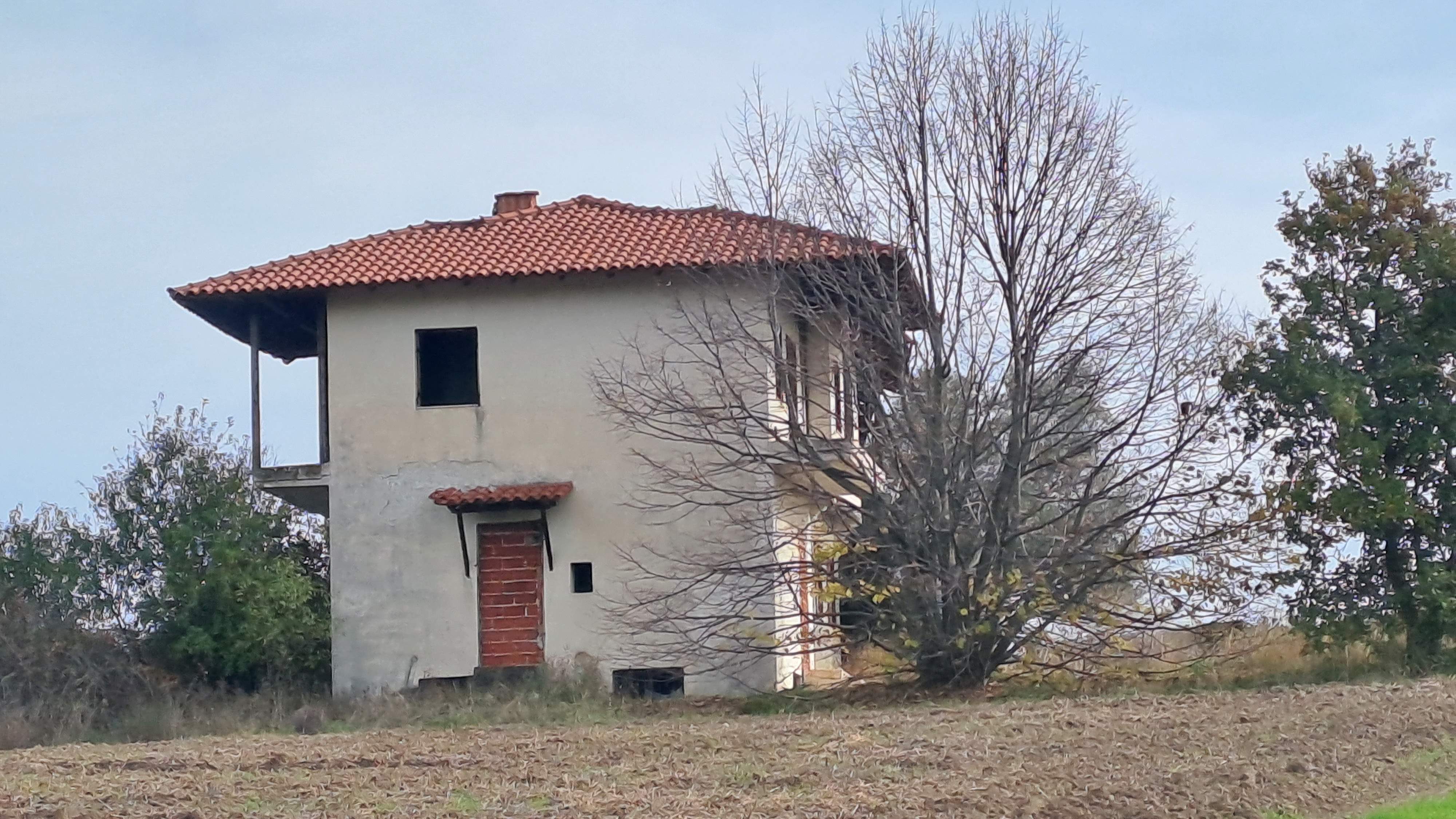 photo6
