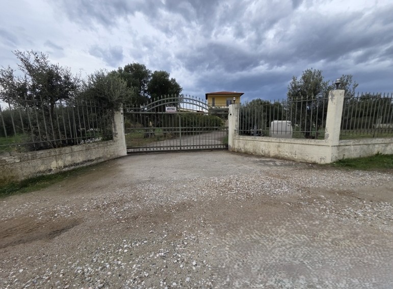 photo1