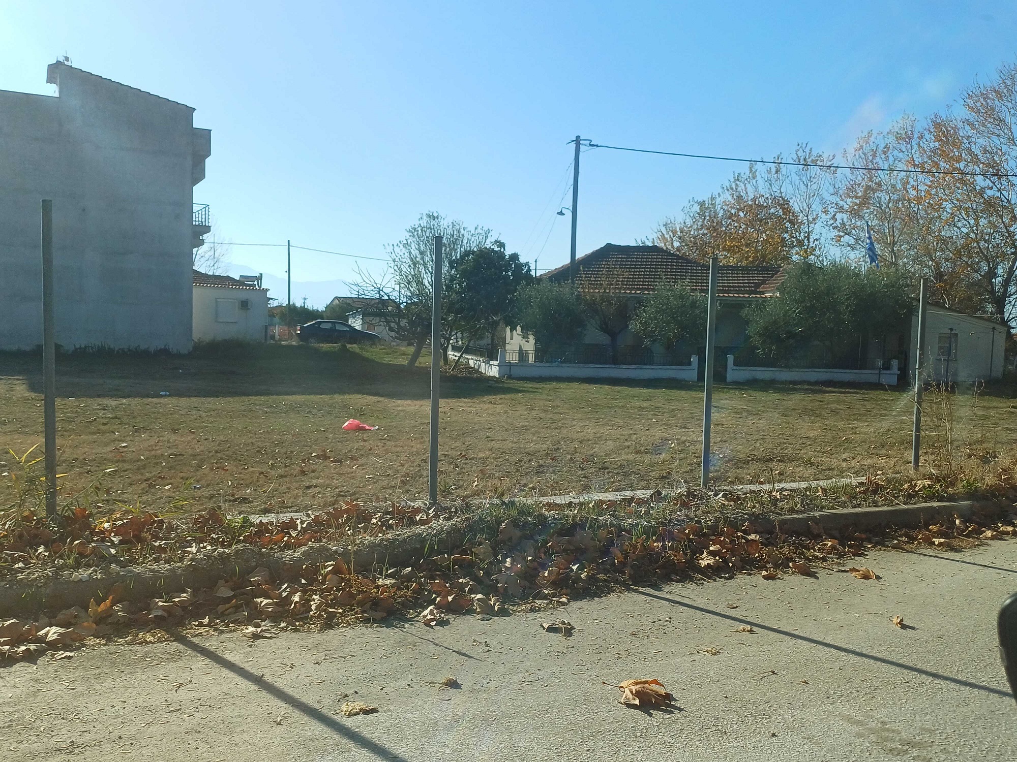 photo1