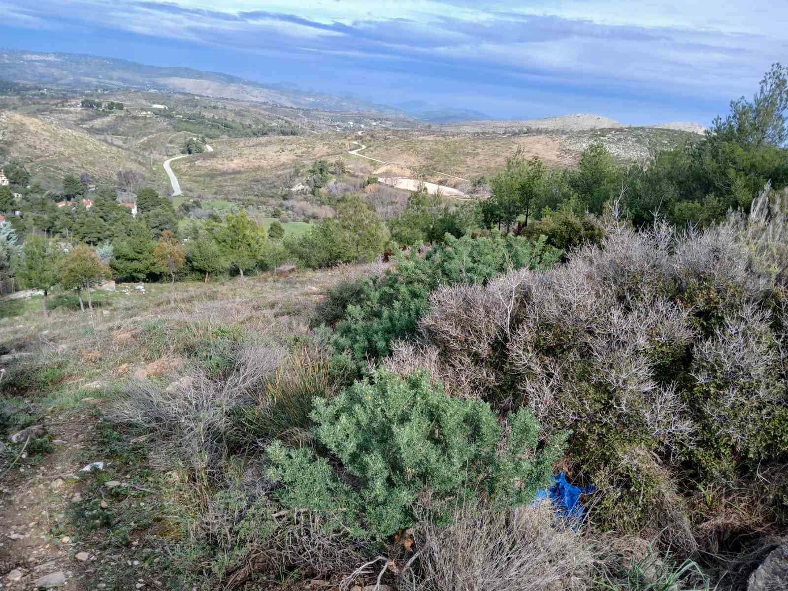 Οικόπεδο  σε πλειστηριασμό Δήμος Διονύσου