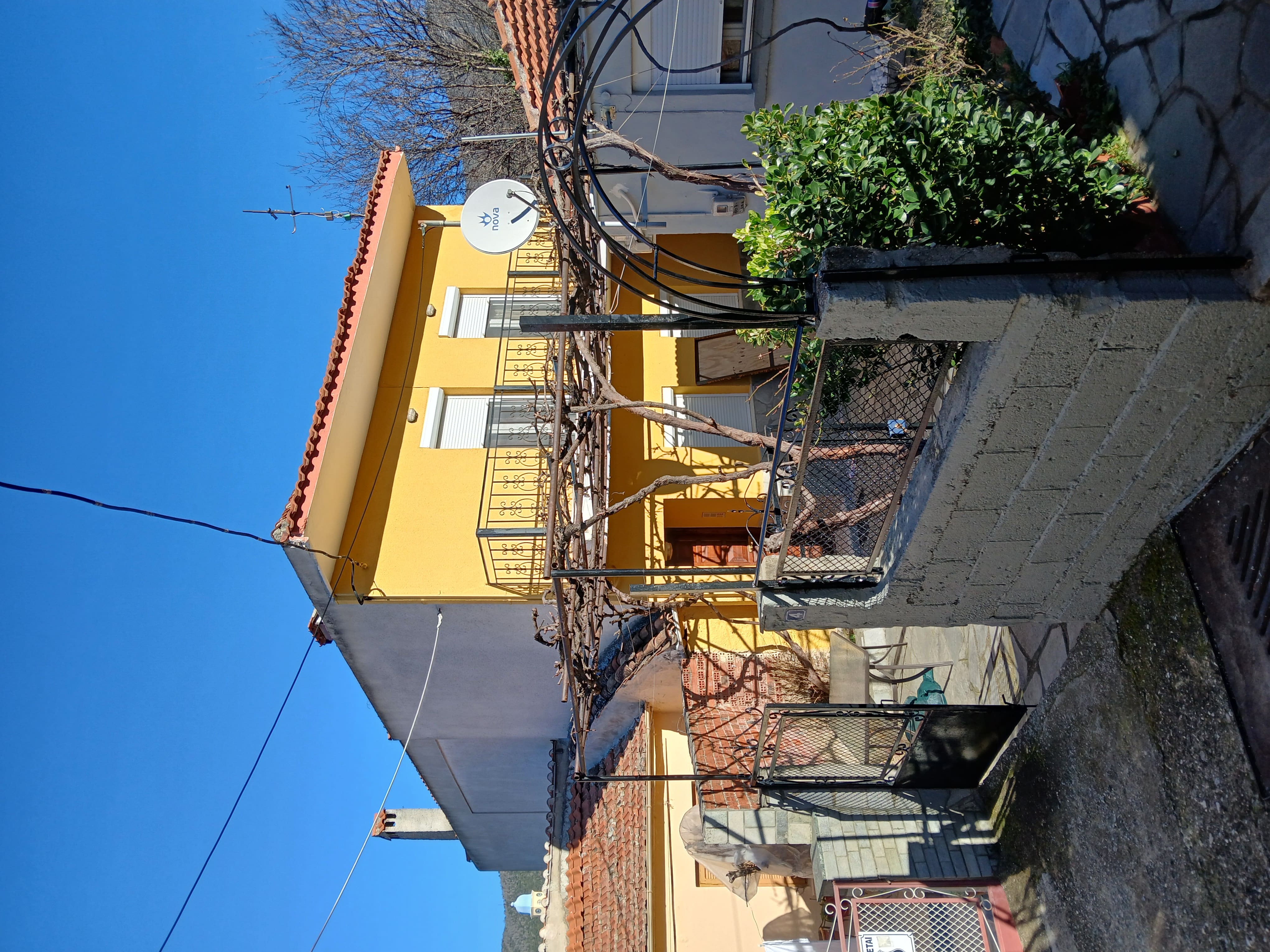 photo1