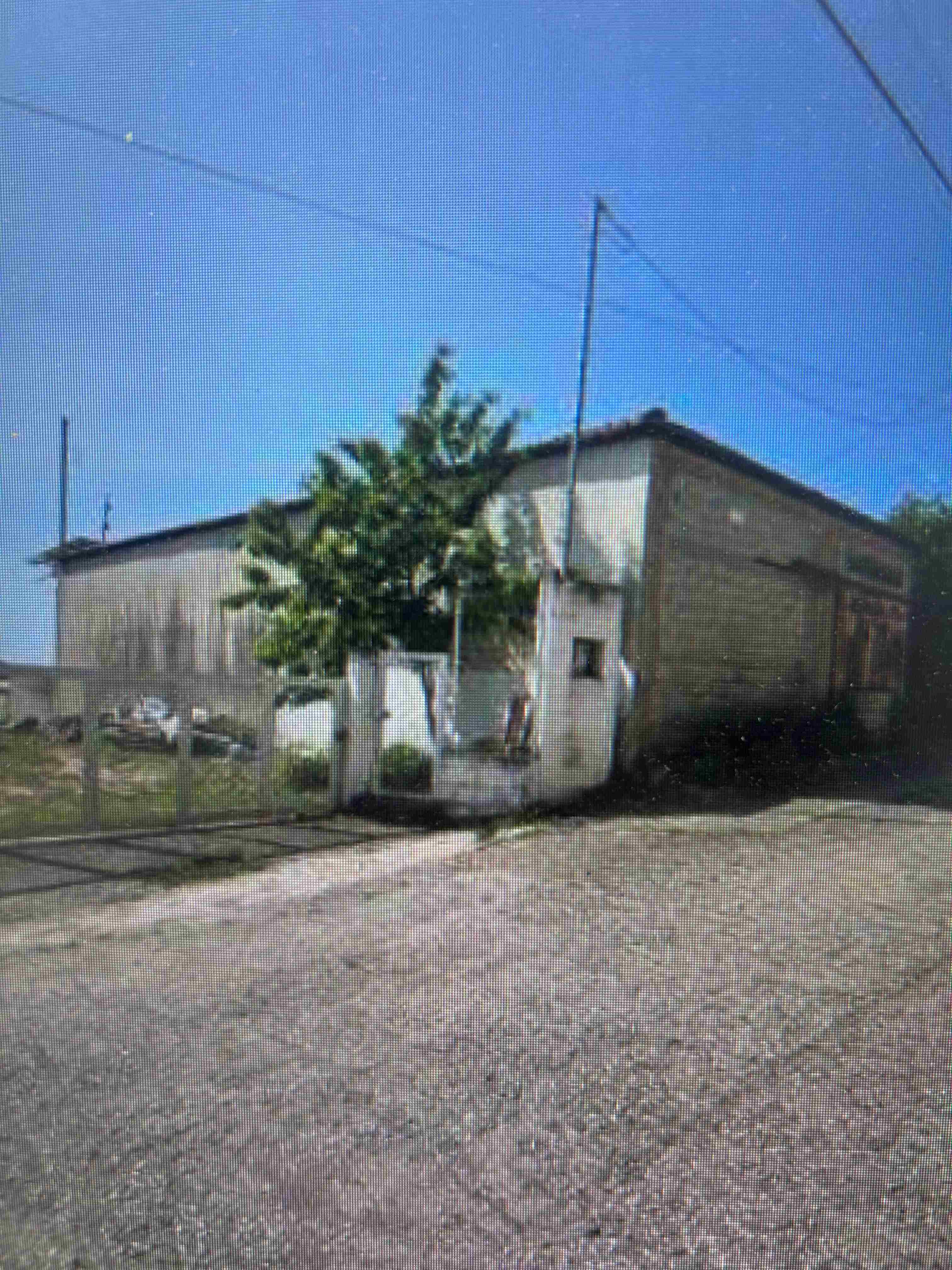 photo0