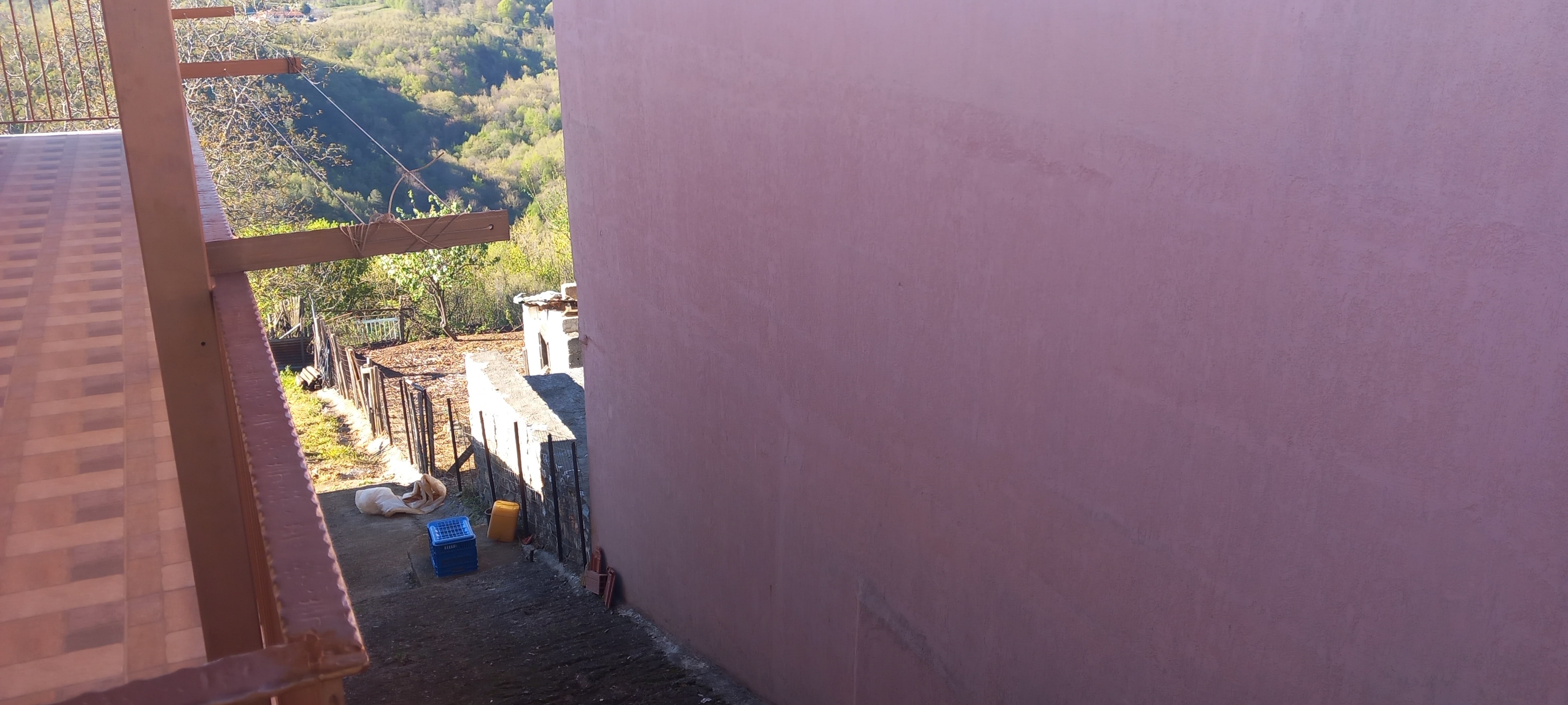 photo3