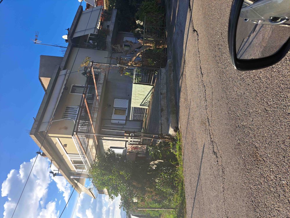 photo1
