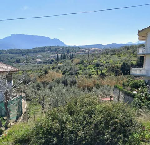 Οικόπεδο 395.96 τ.μ. σε πλειστηριασμό Δήμος Αιγιαλείας