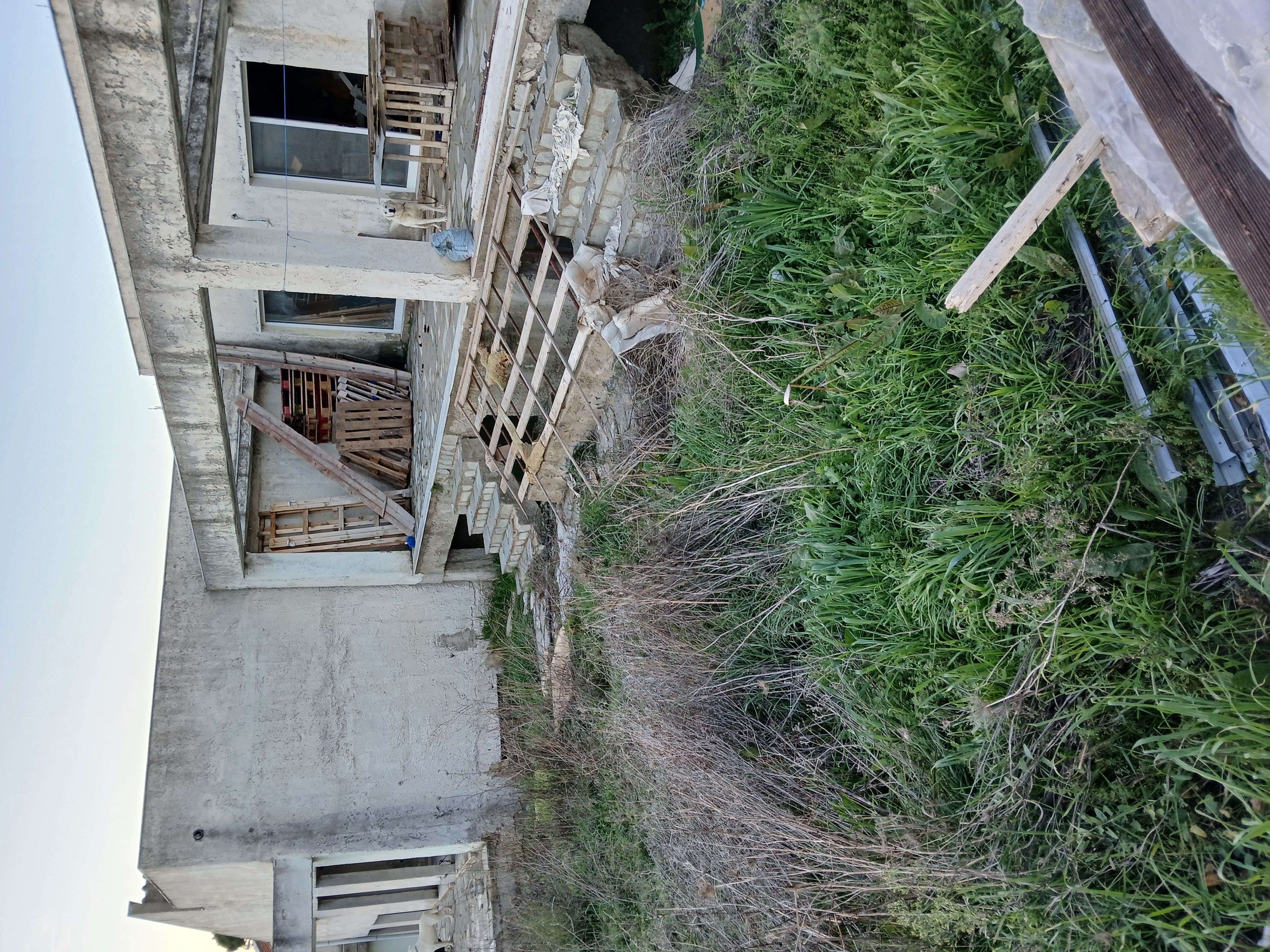 photo0