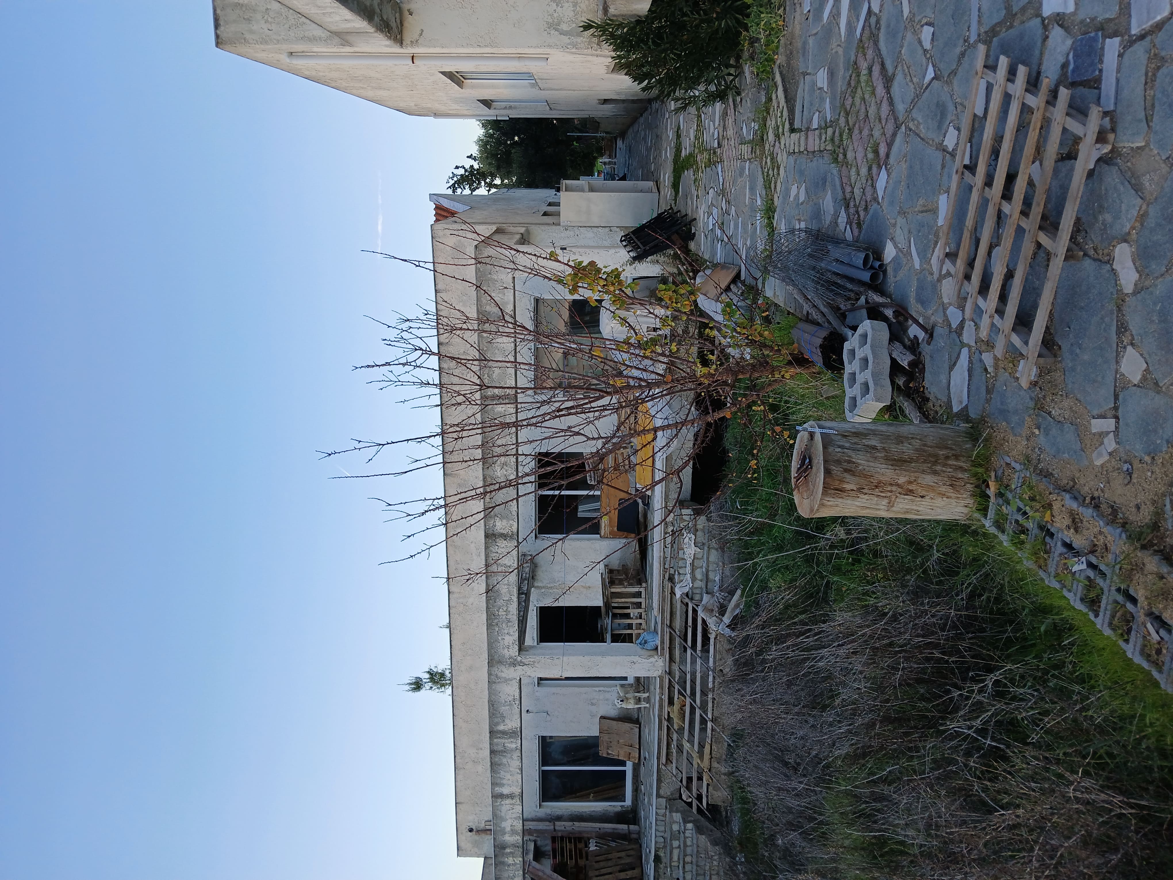 photo3