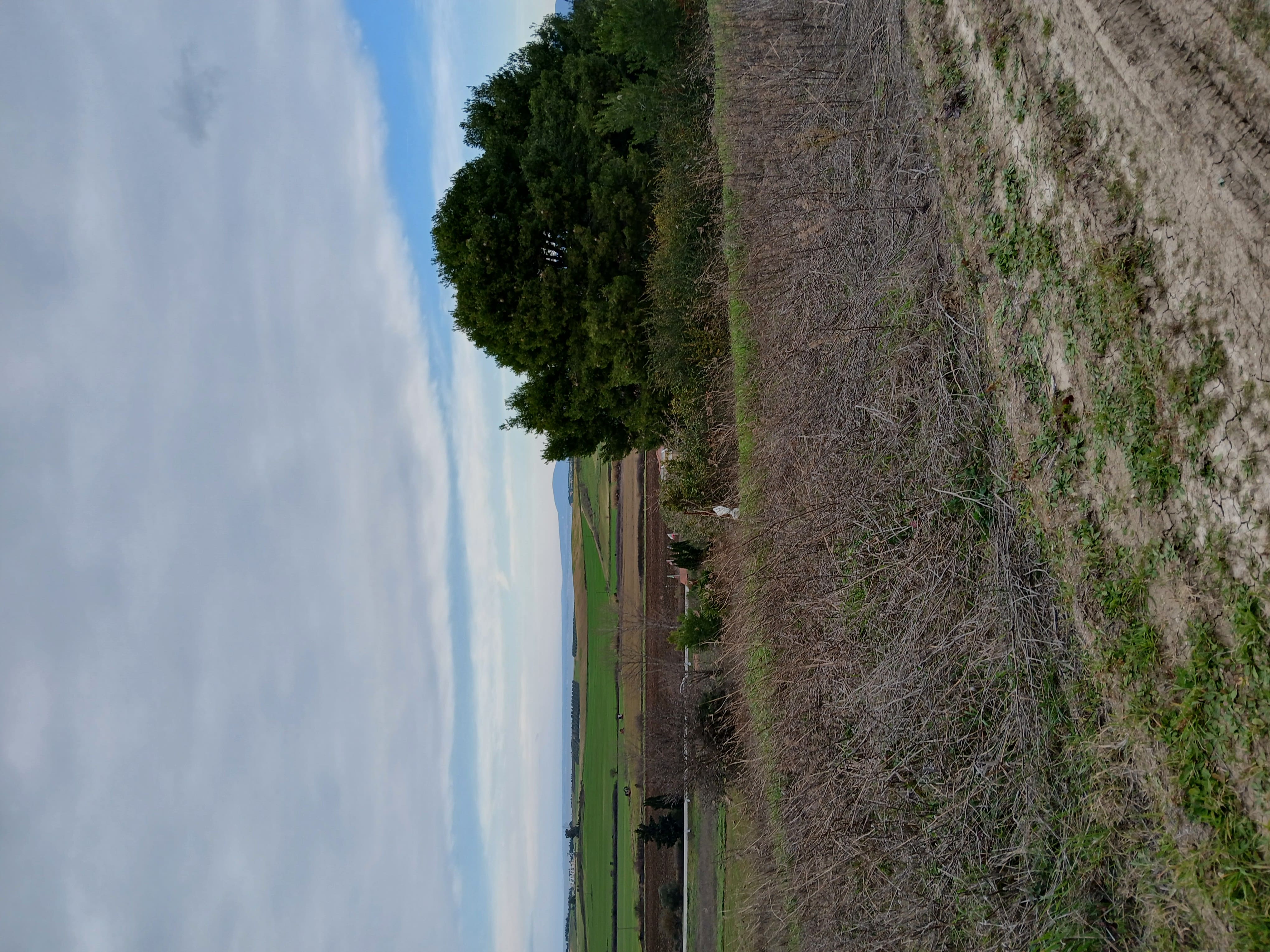 photo0
