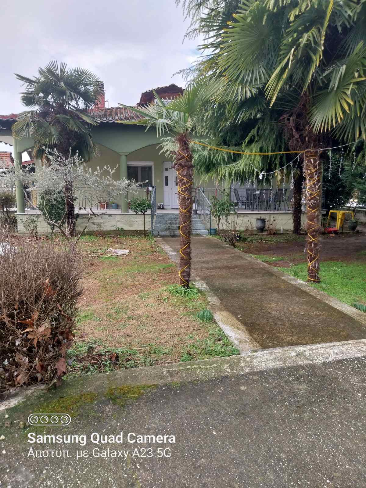 Οικόπεδο με κτίσμα  σε πλειστηριασμό Δήμος Αλμωπίας