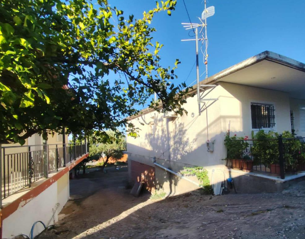 Αγροτεμάχιο 454.99 τ.μ. σε πλειστηριασμό Δήμος Ανδρίτσαινας - Κρεστένων