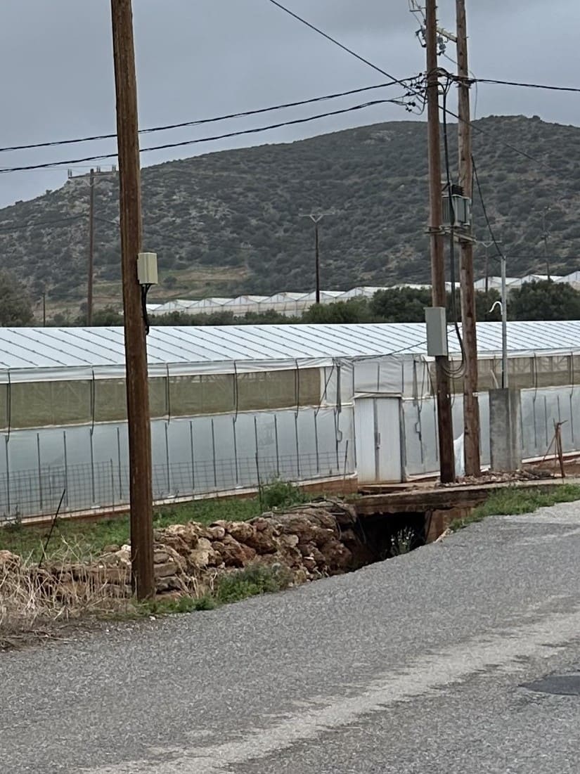 Αγροτεμάχιο  σε πλειστηριασμό Δήμος Καντάνου - Σέλινου