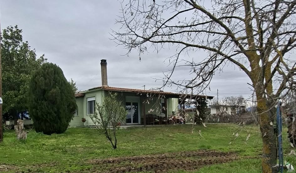 Αγροτεμάχιο με κτίσμα  σε πλειστηριασμό Δήμος Δράμας