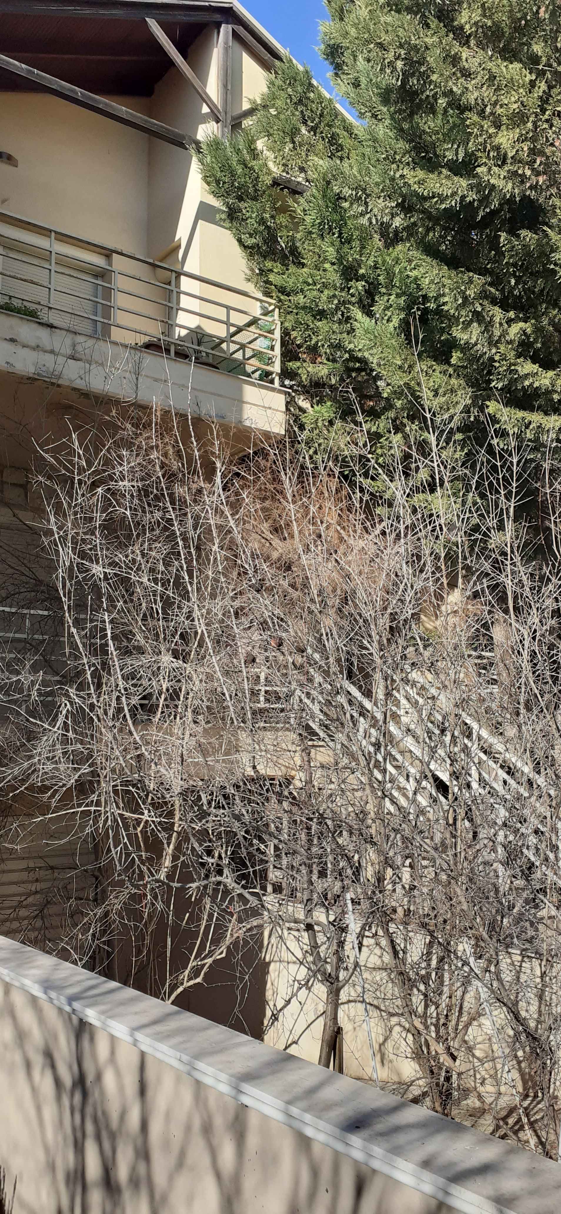 Κατοικία  σε πλειστηριασμό Δήμος Λαρισαίων