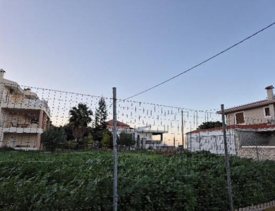 Οικόπεδο  σε πλειστηριασμό Δήμος Αιγιαλείας