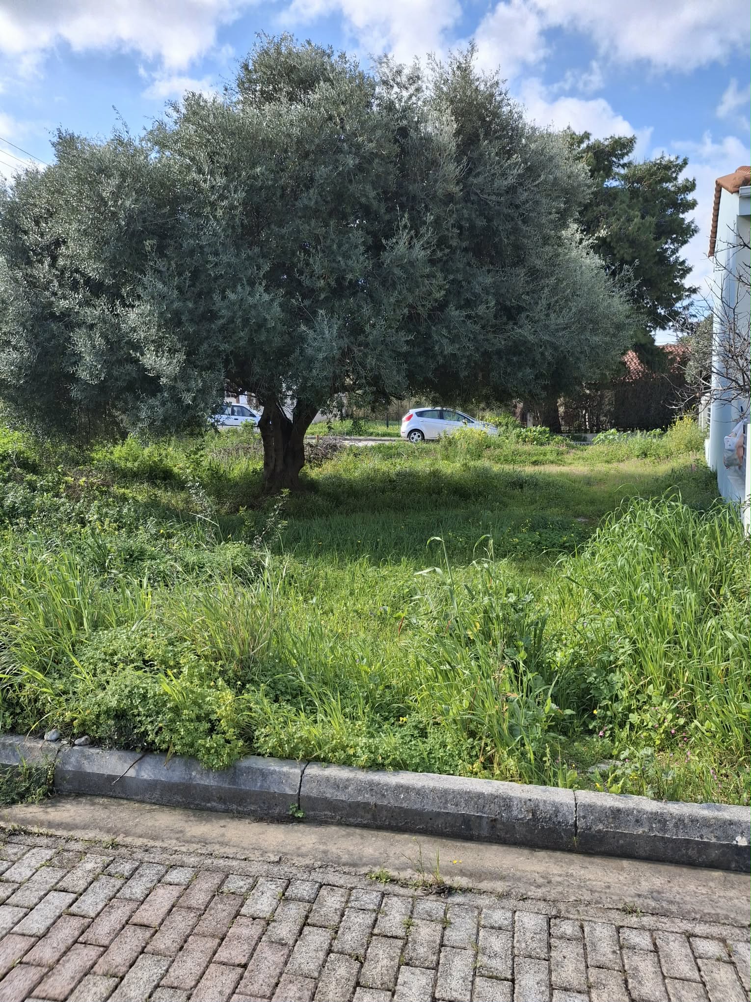 Οικόπεδο  σε πλειστηριασμό Δήμος Πατρέων