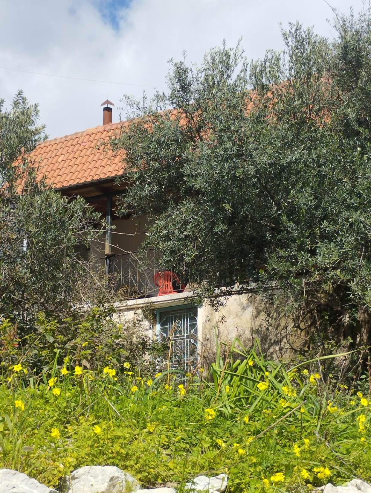 Οικόπεδο με κτίσμα  σε πλειστηριασμό Δήμος Μεσσήνης