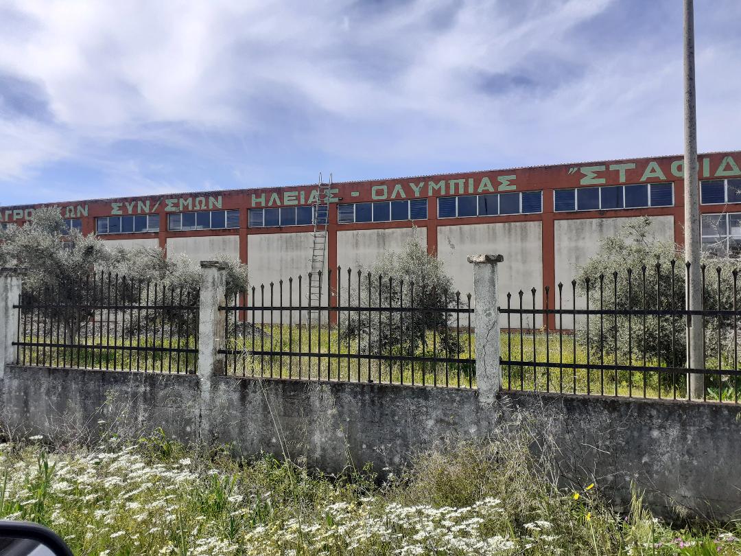 Αγροτεμάχιο με κτίσμα  σε πλειστηριασμό Δήμος Πύργου