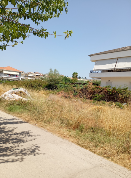 Κατοικία  σε πλειστηριασμό Δήμος Ηγουμενίτσας