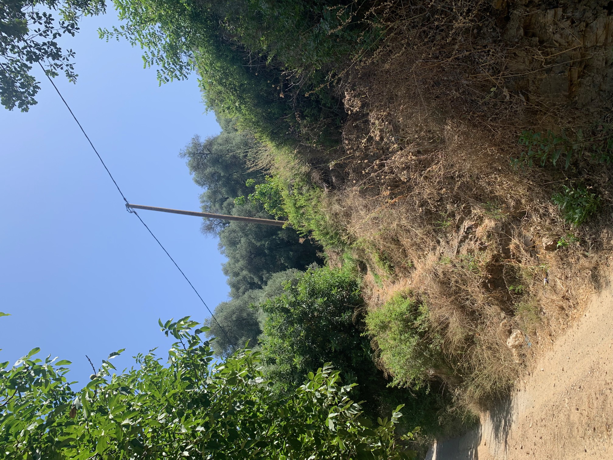 Αγροτεμάχιο  σε πλειστηριασμό Δήμος Πλατανιά  