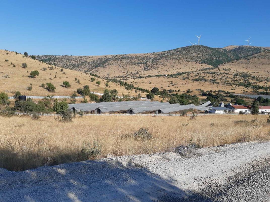 Αγροτεμάχιο με κτίσμα  σε πλειστηριασμό Δήμος Βοίου