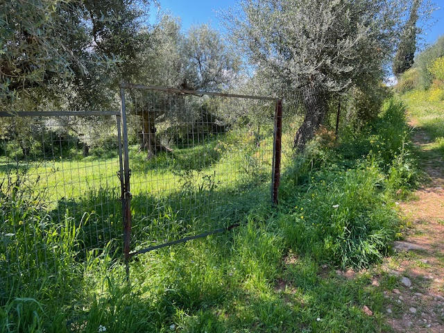 Οικόπεδο  σε πλειστηριασμό Δήμος Αιγιαλείας