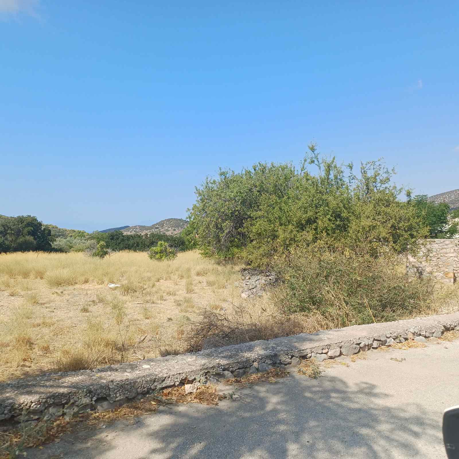 Αγροτεμάχιο 121 τ.μ. σε πλειστηριασμό Δήμος Ερμιονίδας