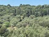 photo3
