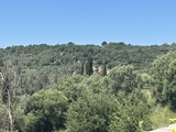 Αγροτεμάχιο  σε πλειστηριασμό Δήμος Ηγουμενίτσας
