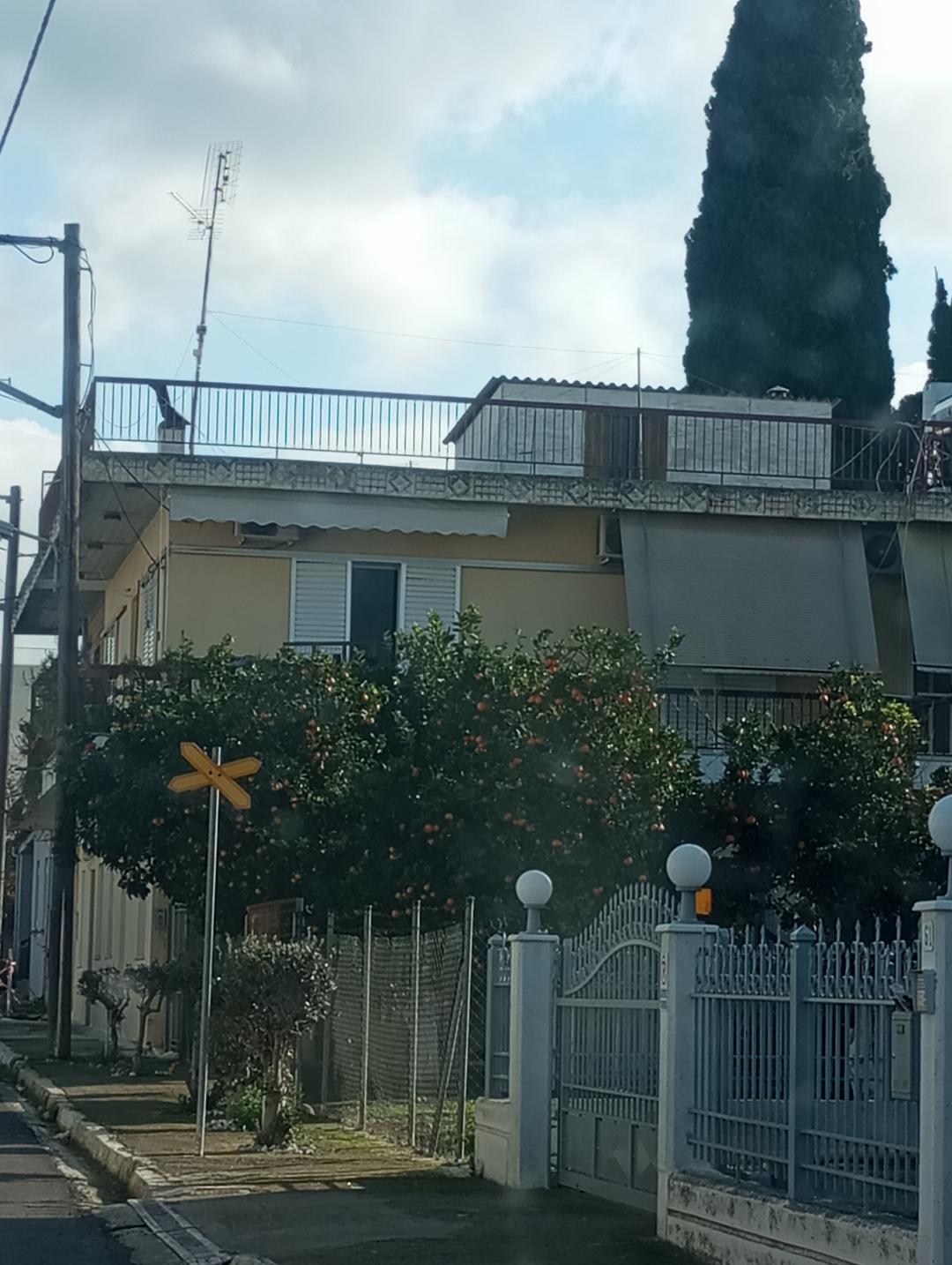 Κατοικία  σε πλειστηριασμό Δήμος Ήλιδας