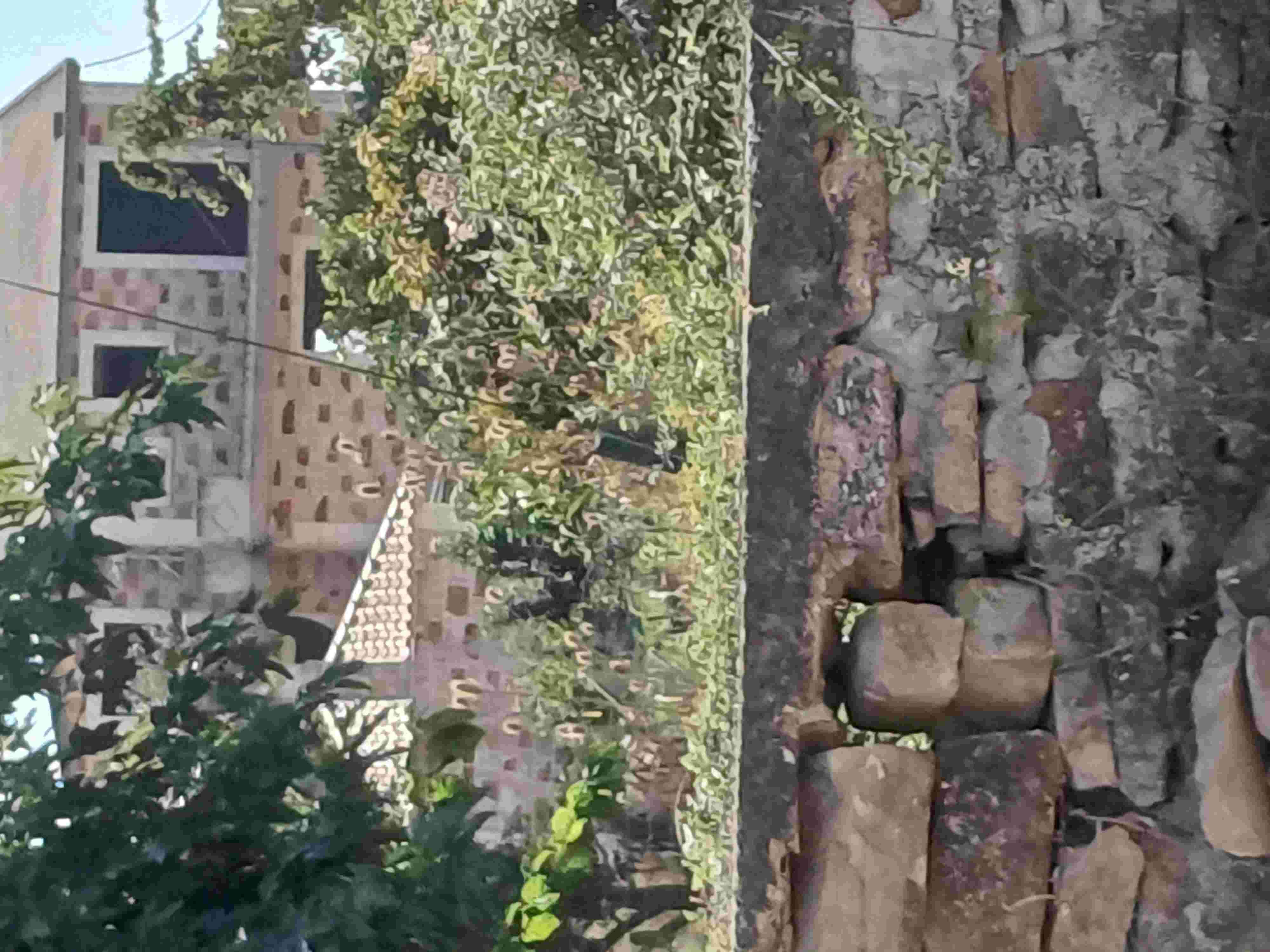 Οικόπεδο με κτίσμα  σε πλειστηριασμό Δήμος Ιεράς Πόλης Μεσολογγίου
