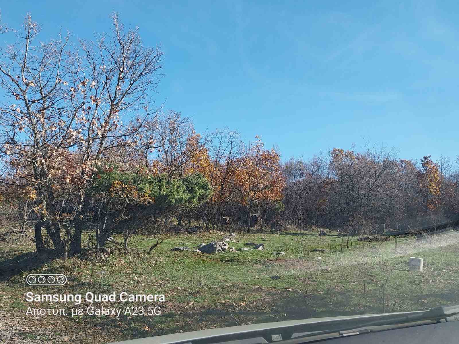 Αγροτεμάχιο 894 τ.μ. σε πλειστηριασμό Δήμος Έδεσσας